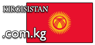 Domain Dienste -> com.kg fr 29,50 € - Laufzeit und Abrechnung  1 Jahr. ( Kirgisistan )