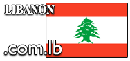 Domain Dienste -> com.lb fr 250,00 € - Laufzeit und Abrechnung  1 Jahr. ( Libanon )