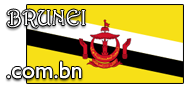 Domain Dienste -> com.bn fr 235,00 € - Laufzeit und Abrechnung  1 Jahr. ( Brunei )