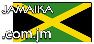 Domain Dienste -> com.jm fr 65,00 € - Laufzeit und Abrechnung  1 Jahr. ( Jamaika )