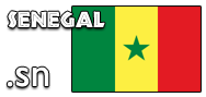 Domain Dienste -> sn fr 450,00 € - Laufzeit und Abrechnung  1 Jahr. ( Senegal )