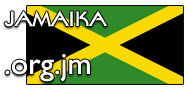 Domain Dienste -> org.jm für 31,75 € - Laufzeit und Abrechnung  1 Jahr. ( Jamaika )