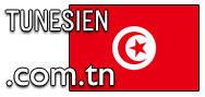 Domain Dienste -> com.tn fr 174,50 € - Laufzeit und Abrechnung  1 Jahr. ( Tunesien )