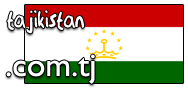 Domain Dienste -> com.tj fr 191,40 € - Laufzeit und Abrechnung  1 Jahr. ( Tadschikistan )
