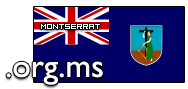 Domain Dienste -> org.ms für 39,00 € - Laufzeit und Abrechnung  1 Jahr. ( Montserrat )