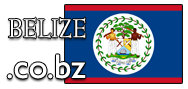Domain Dienste -> co.bz für 37,50 € - Laufzeit und Abrechnung  1 Jahr. ( Belize )