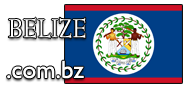 Domain Dienste -> com.bz für 32,50 € - Laufzeit und Abrechnung  1 Jahr. ( Belize )