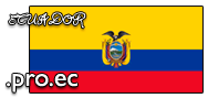 Domain Dienste -> pro.ec fr 48,00 € - Laufzeit und Abrechnung  1 Jahr. ( Ecuador )