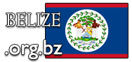 Domain Dienste -> org.bz für 34,50 € - Laufzeit und Abrechnung  1 Jahr. ( Belize )