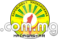 Domain Dienste -> com.mg fr 155,00 € - Laufzeit und Abrechnung  1 Jahr. ( Madagaskar )