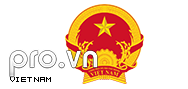 Domain Dienste -> pro.vn fr 75,00 € - Laufzeit und Abrechnung  1 Jahr. ( Vietnam )