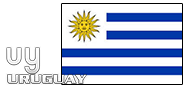Domain Dienste -> uy fr 63,00 € - Laufzeit und Abrechnung  1 Jahr. ( Uruguay )