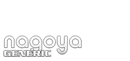 Domain Dienste -> nagoya für 16,66 € - Laufzeit und Abrechnung  1 Jahr. ( Nagoya (JP) )