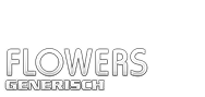 Domain Dienste -> flowers fr 32,50 € - Laufzeit und Abrechnung  1 Jahr. ( Blumen )