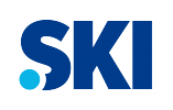 Domain Dienste -> ski fr 72,89 € - Laufzeit und Abrechnung  1 Jahr. ( Ski )